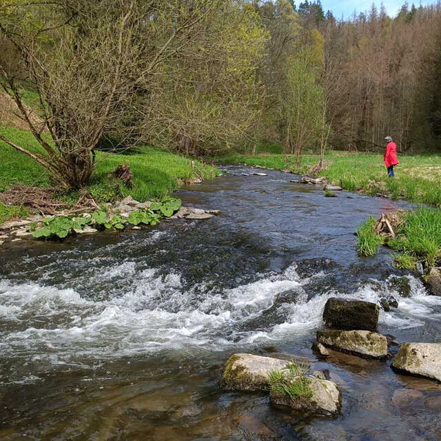 Unterwegs im Polenztal
