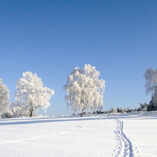 Winterimpressionen in Gohrisch