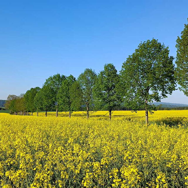 In Gohrisch unterwegs