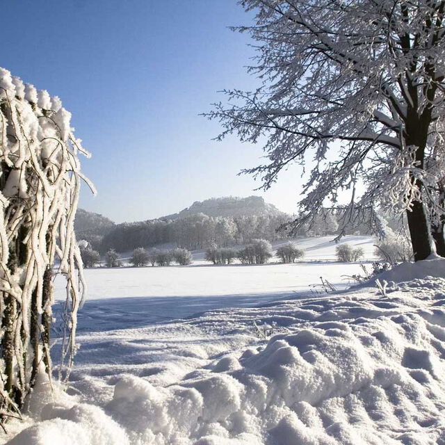 Winterimpressionen in Gohrisch